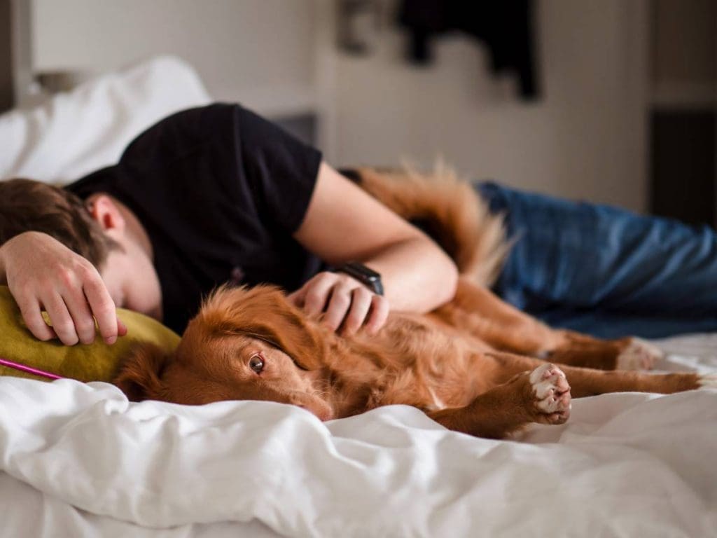 Probiotic rich foods for sleep - are also on the list o food that helps you sleep