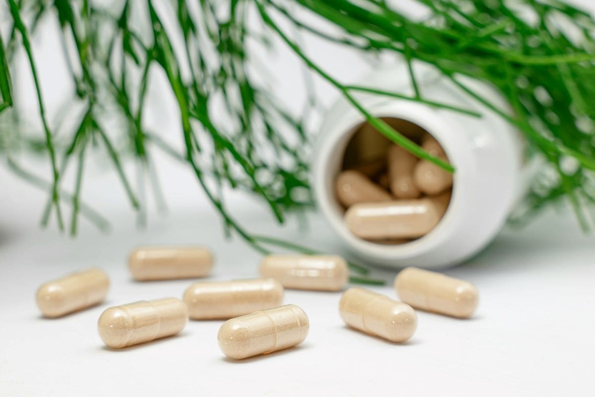 5 Powerful Probiotics with Fiber for a Happier, Healthier Gut