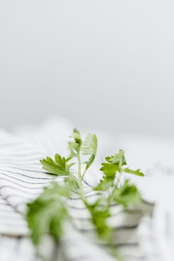 Coriander for garnish on Asian chicken rice soup