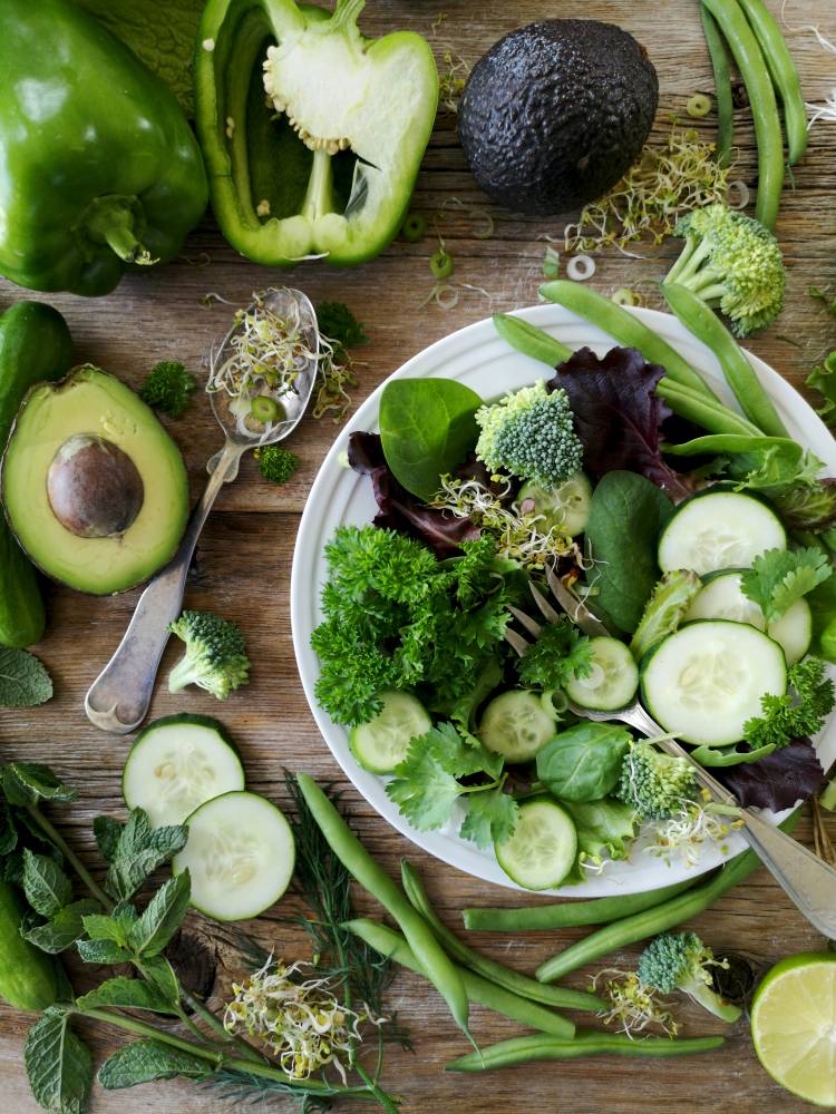 Prebiotic and high fiber foods for gut health